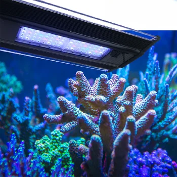 ZETLIGHT Qmaven Коралови Лампа Морска Аквариумный Лампа ZT6500II 6600II 6800II Sunrise аксесоари за аквариум осветление на аквариума