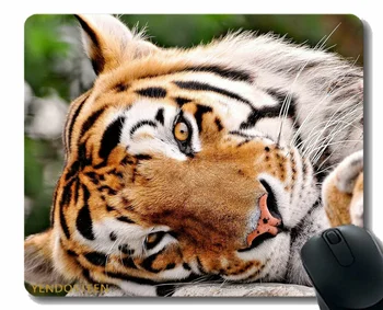 Подложка за мишка, Тигровая Муцуната, Лапите на Големите Котки 40429, игрална подложка за мишка